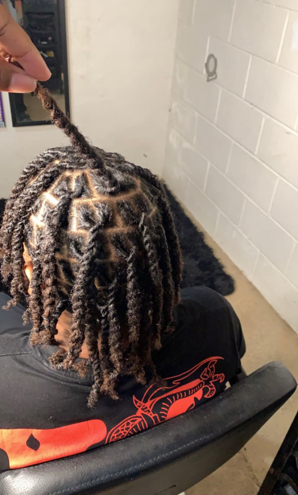 2 Strand Twist (natural Hair)