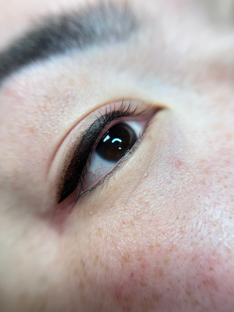 Shaded Eyeliner With Wing