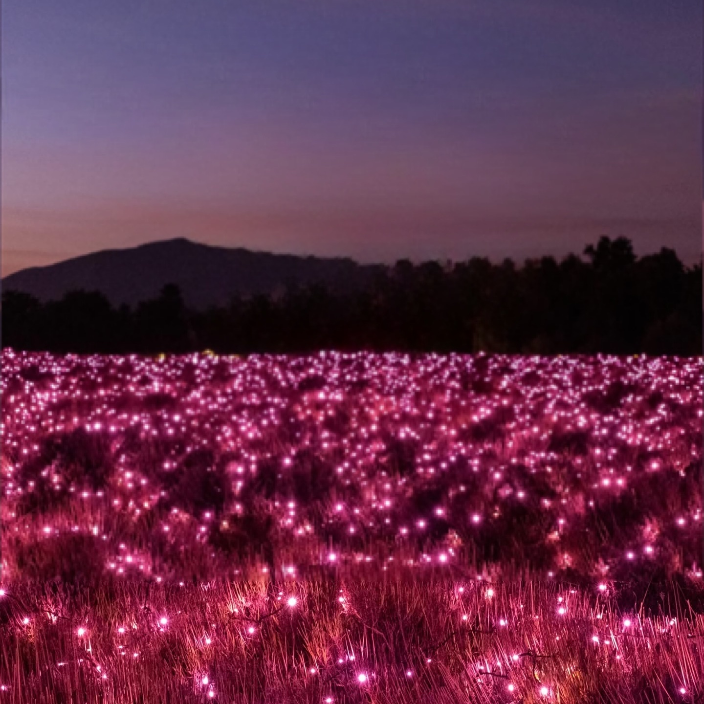 💘 VALENTINE’S SET SPECIAL 💘