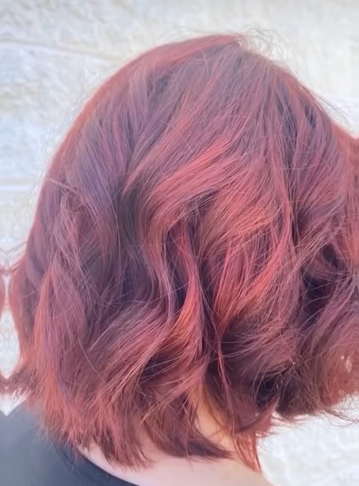 Hair Color - Full head at Sharina Ann in Page, AZ