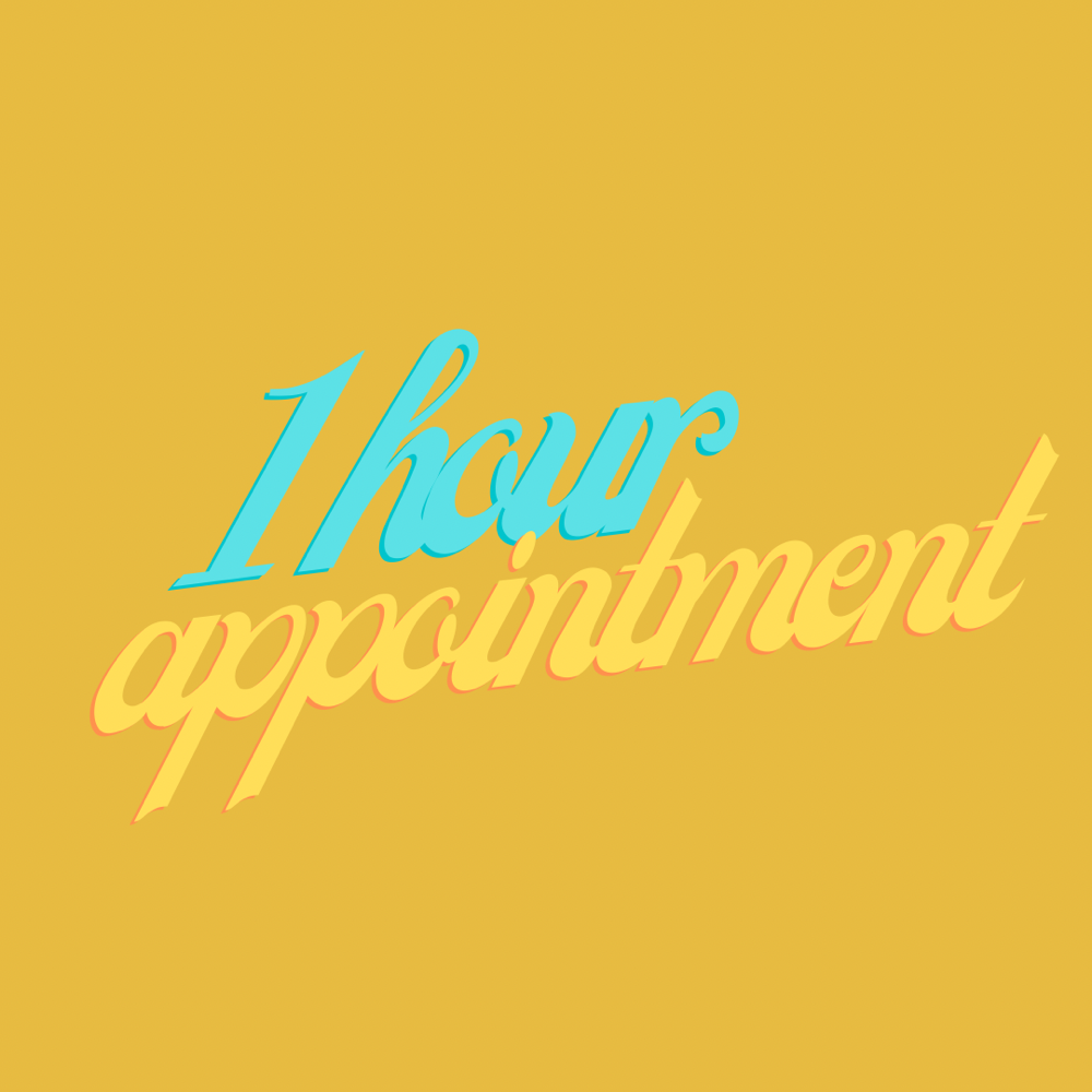 1 Hour Appointment