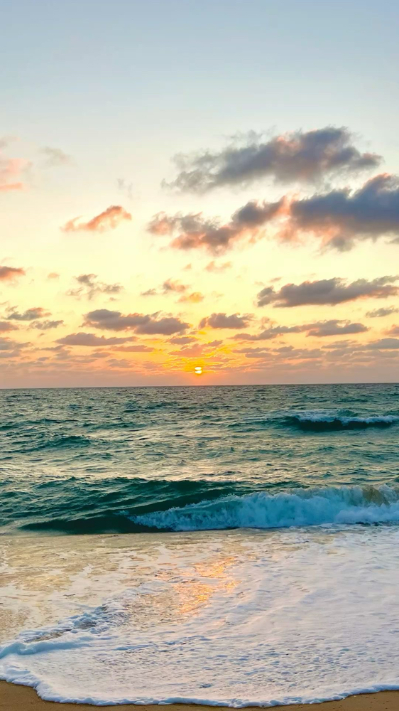 Partial Foil/Balayage