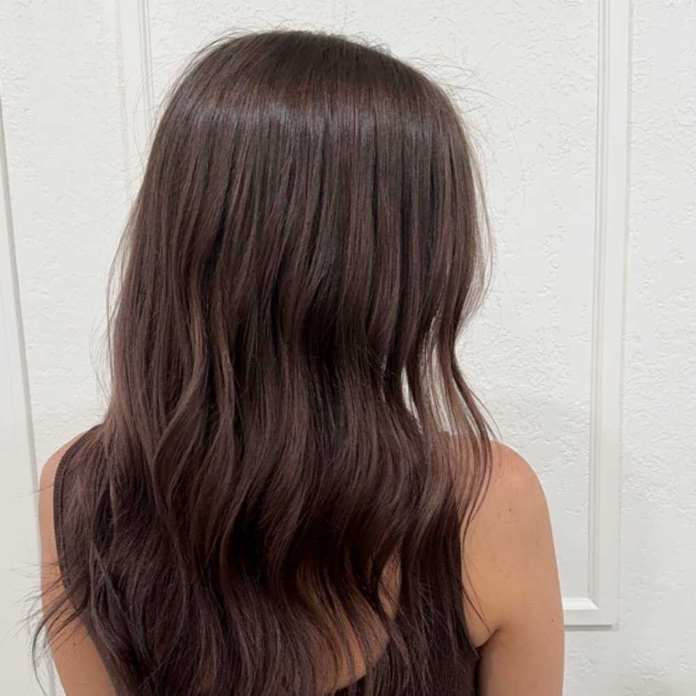 All Over Color at anniedoeshair in Mesa, AZ