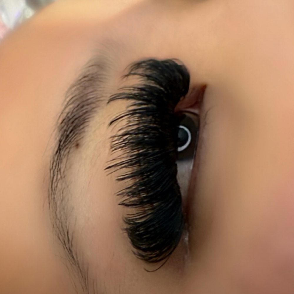Wispy Mega Full Set $175 at Angels Lashes in Broomfield, CO
