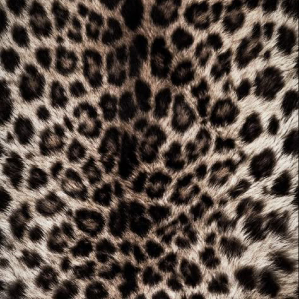 Spray Tan at The Twisted Angel Salon & Spa in Bloomington, IN