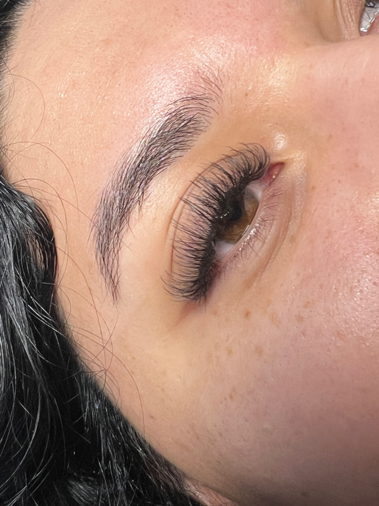 Hybrid Lashes