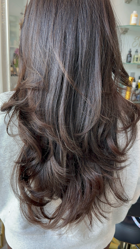 Ladies Haircut & Style