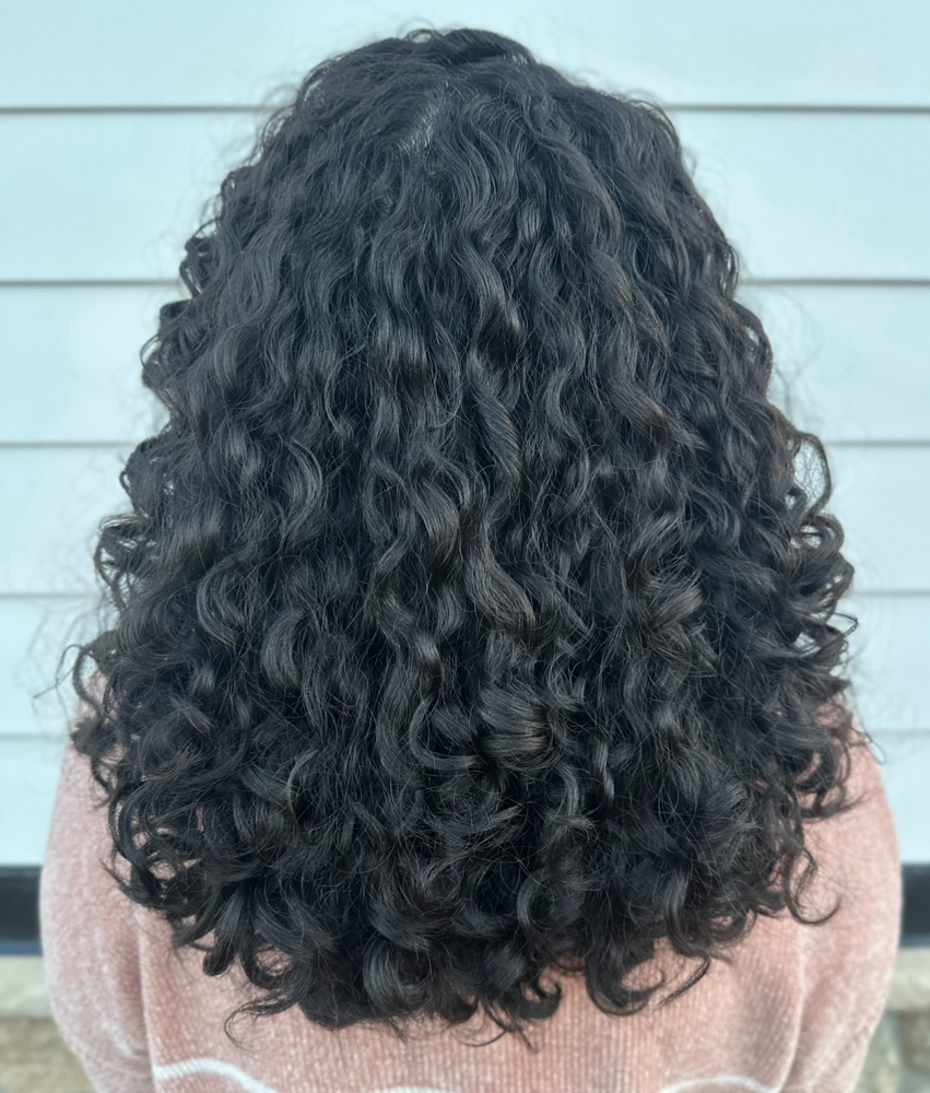 Dry Cut (NO WASH & STYLE)