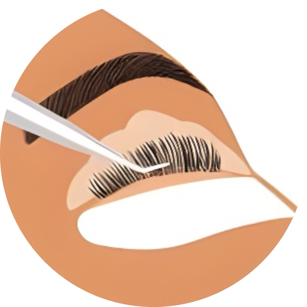 Lash Lift