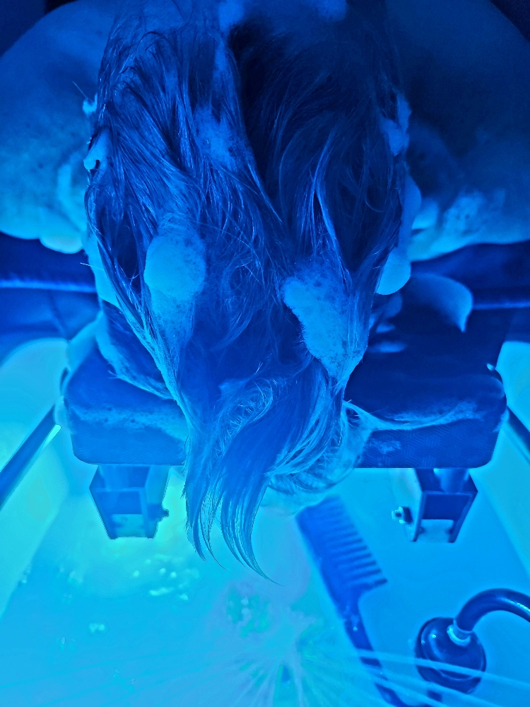 Head Spa Full Package