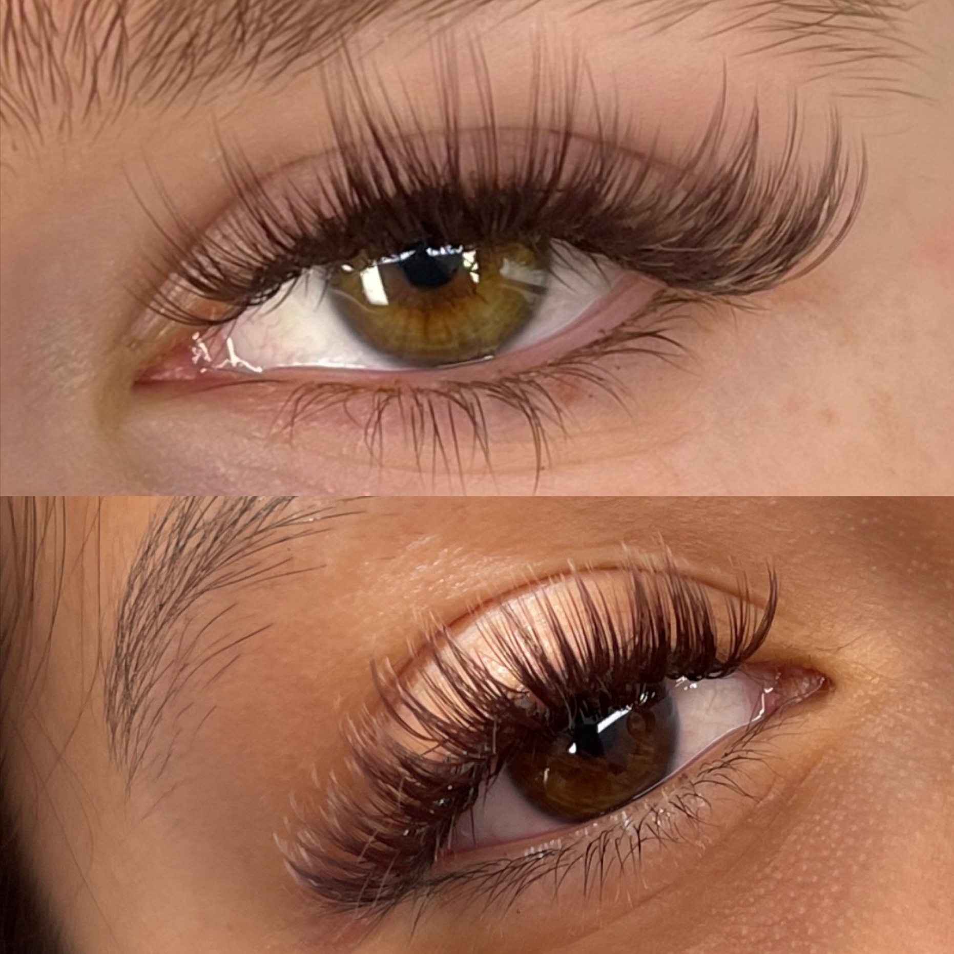 ADD-ON: Brown Lashes at Arabella Vanity in Monterey, CA