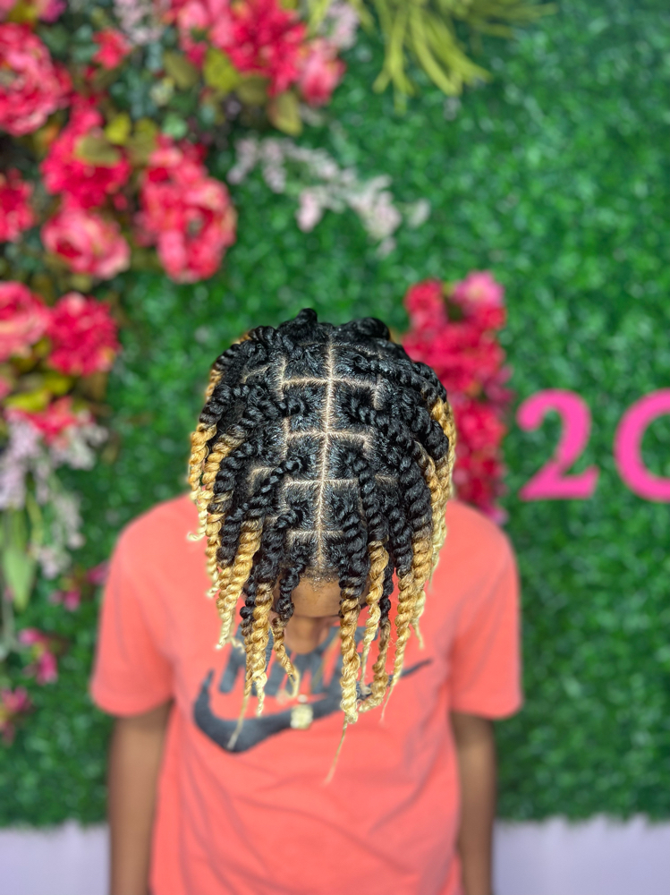 2 Strand Twist
