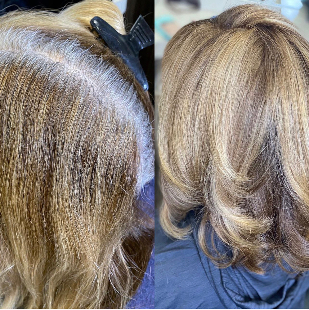 Root Touch Up