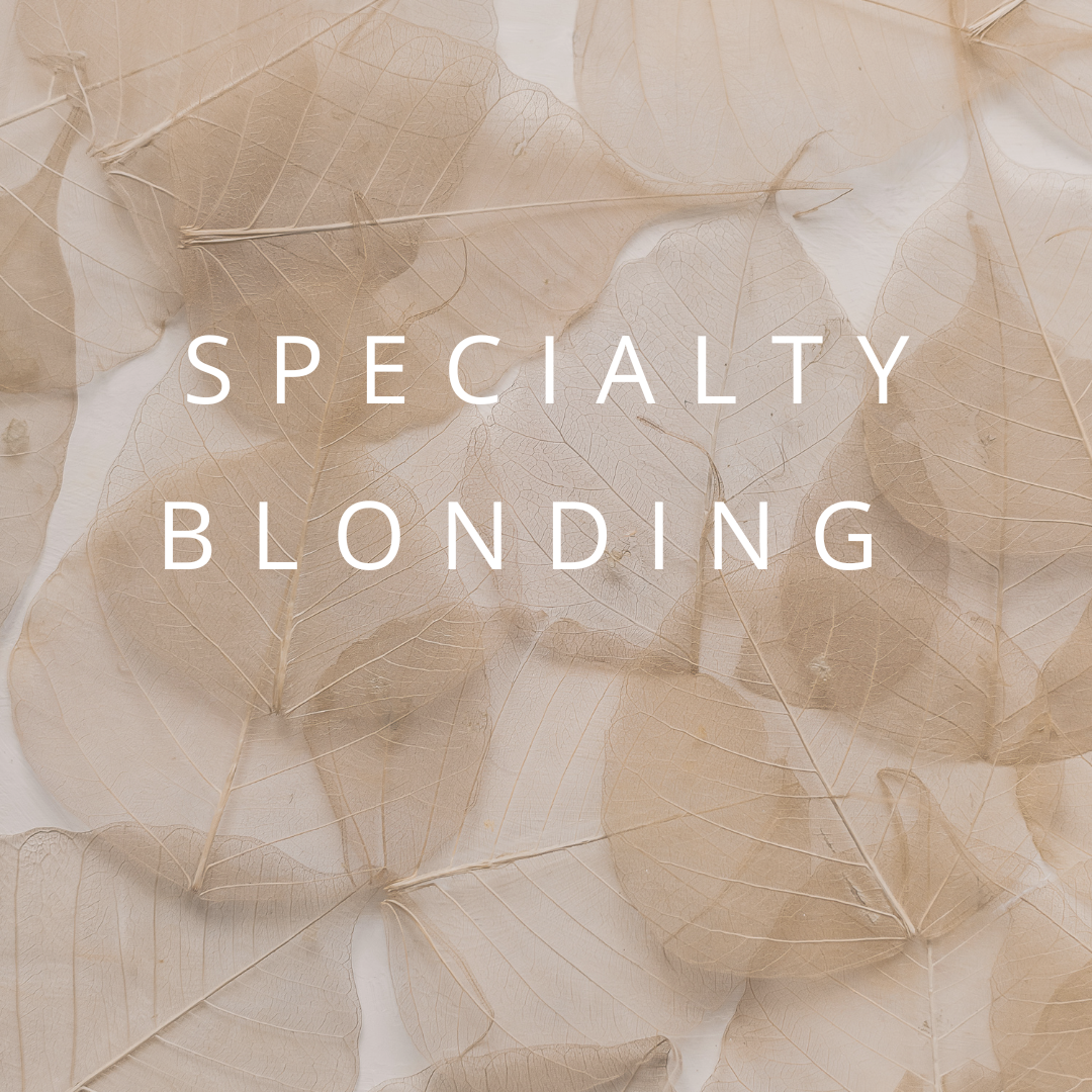 Specialty Blonding + Haircut