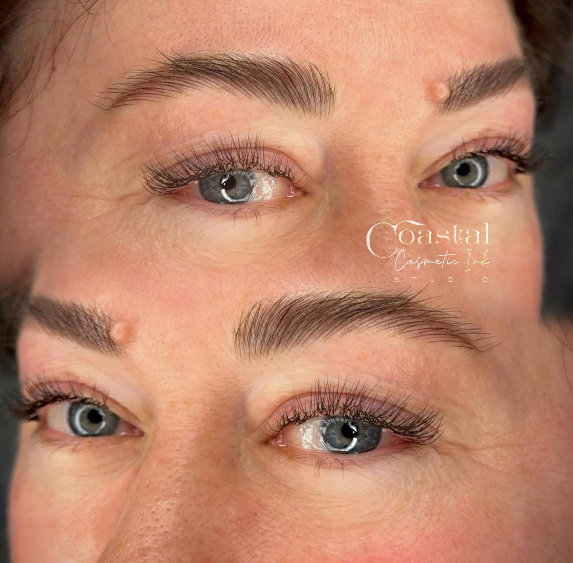 FEATHER BROWS