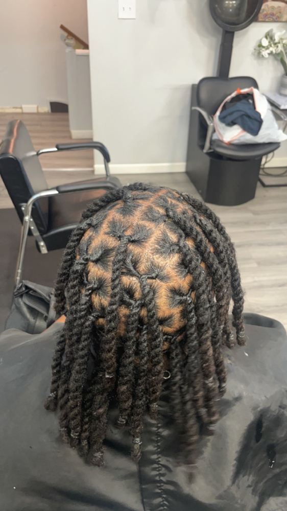 Two Strand Loc Twist