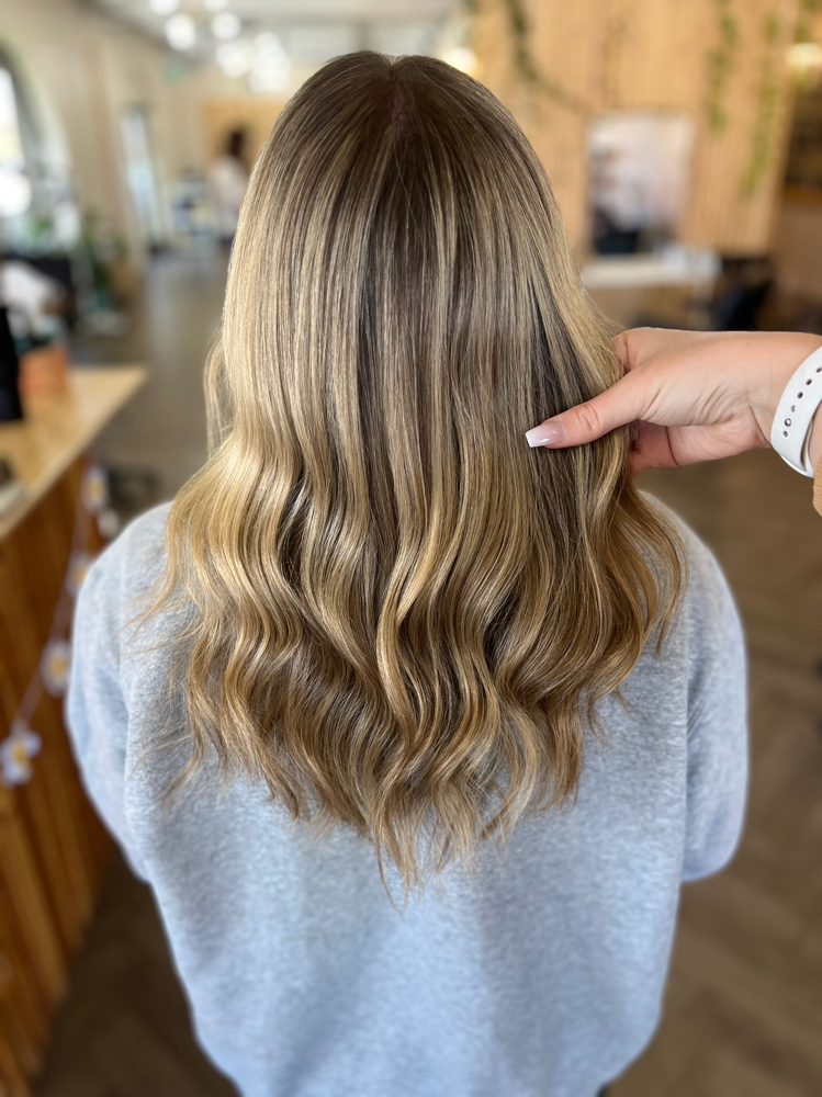 Half Balayage & Cut