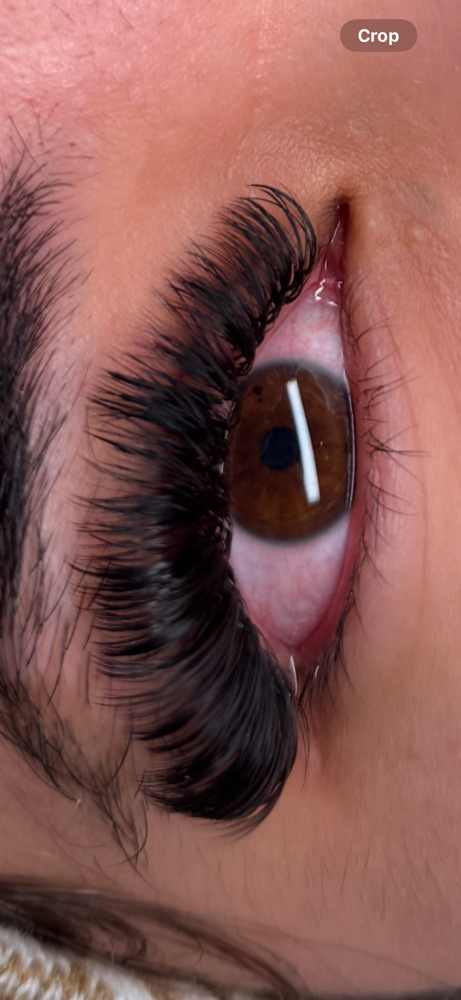 Volume (Existing)