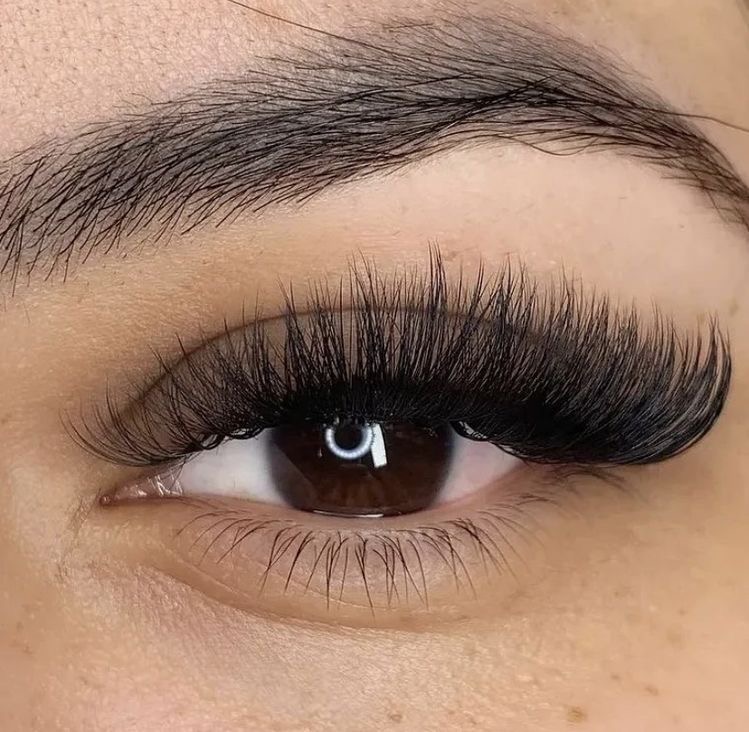 Volume Lashes