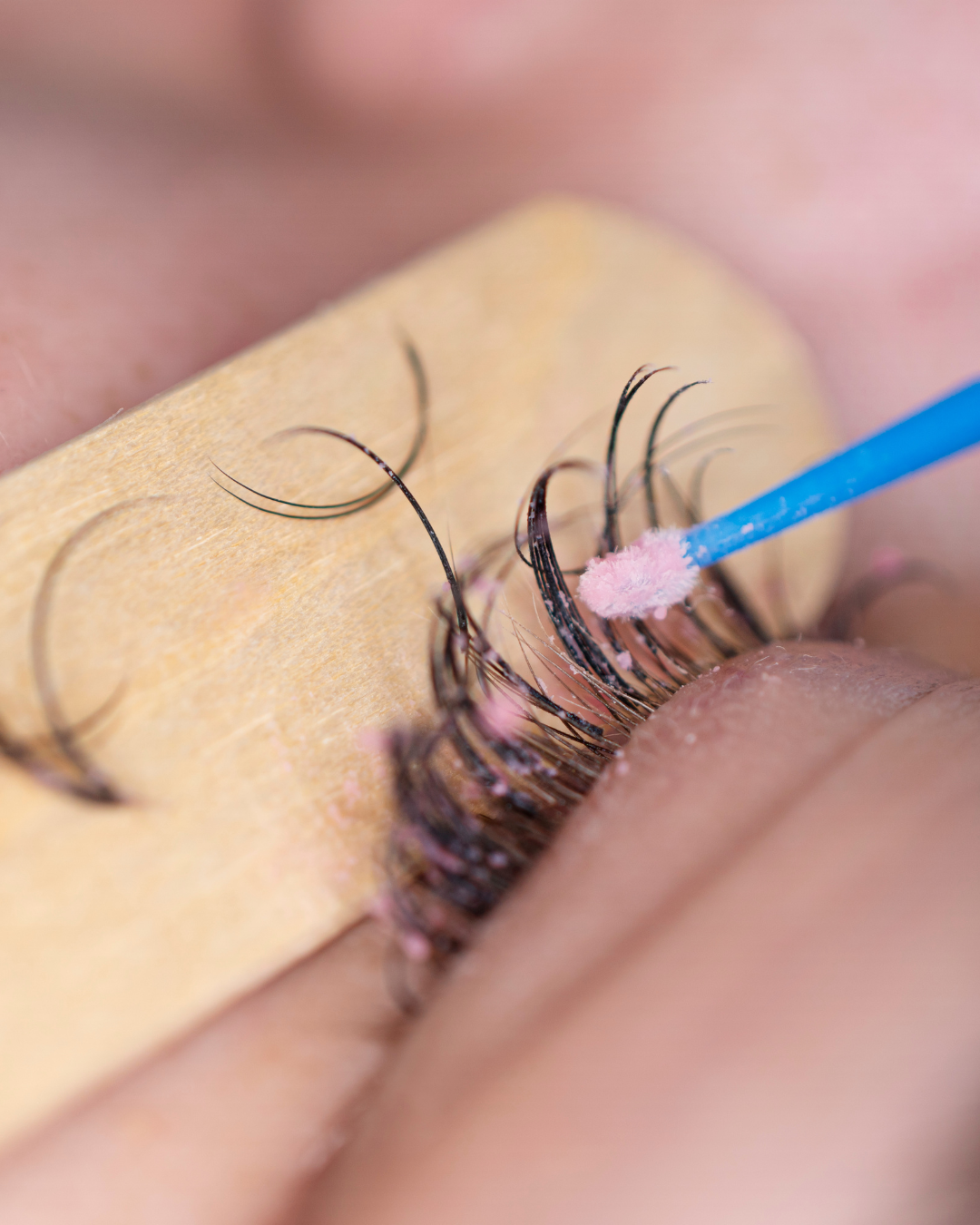 Lash Removal Only And Add On