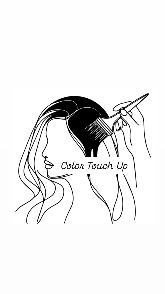 Hair Color Touch Up