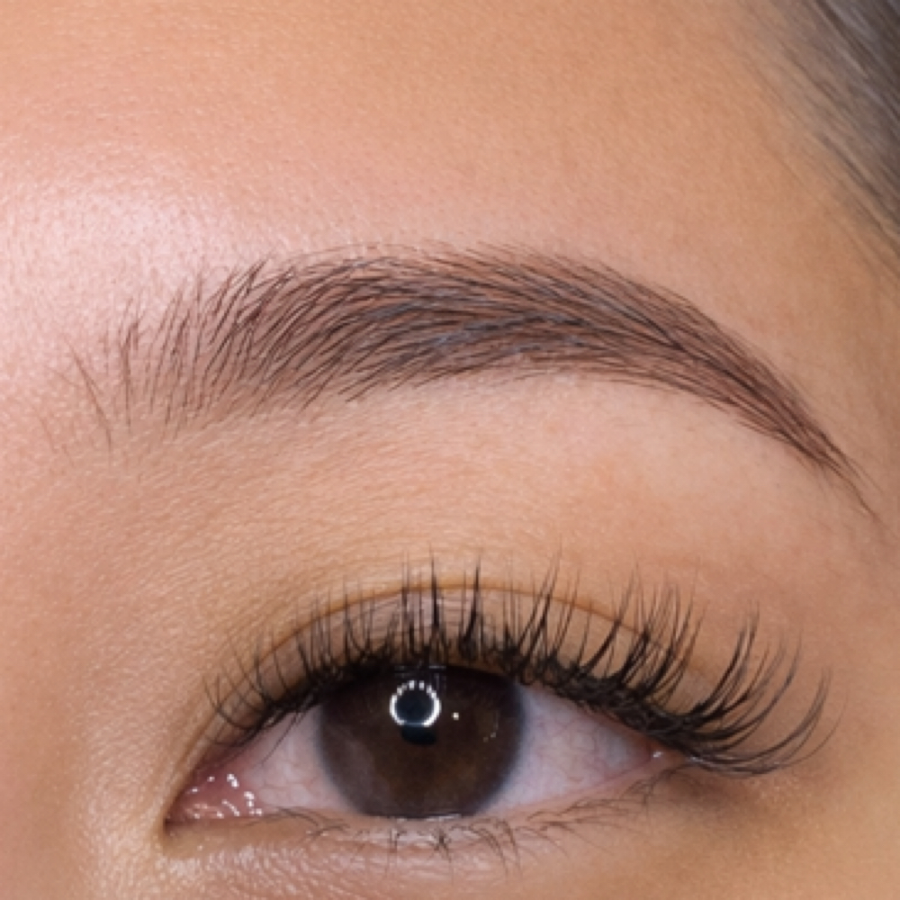 Brow Color at Melika Mikhail in Beverly Hills, CA