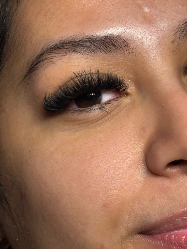 Mega Lash