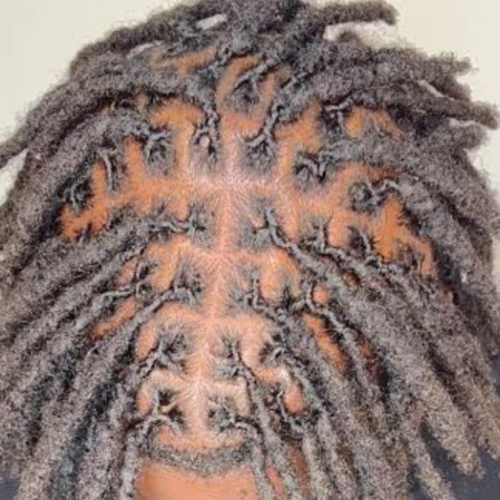 Interlocking (Loc Retightening) at Loc’d In With Dej in Fayetteville, NC