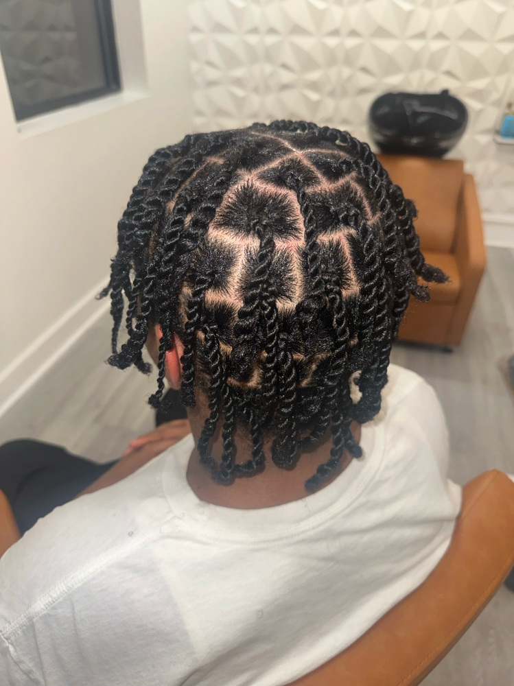 Adult Natural Braids Twist