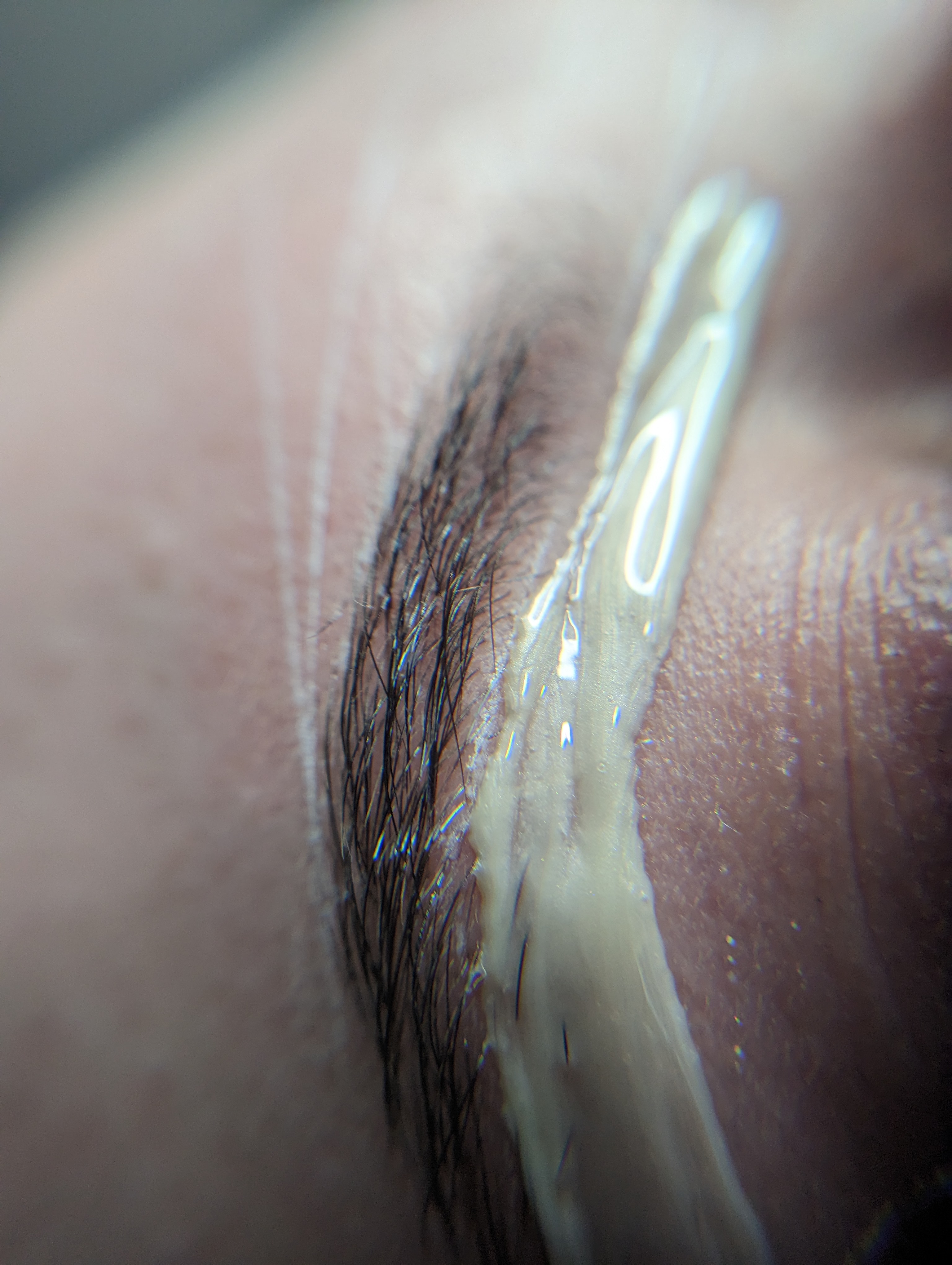 Brow Sculpt