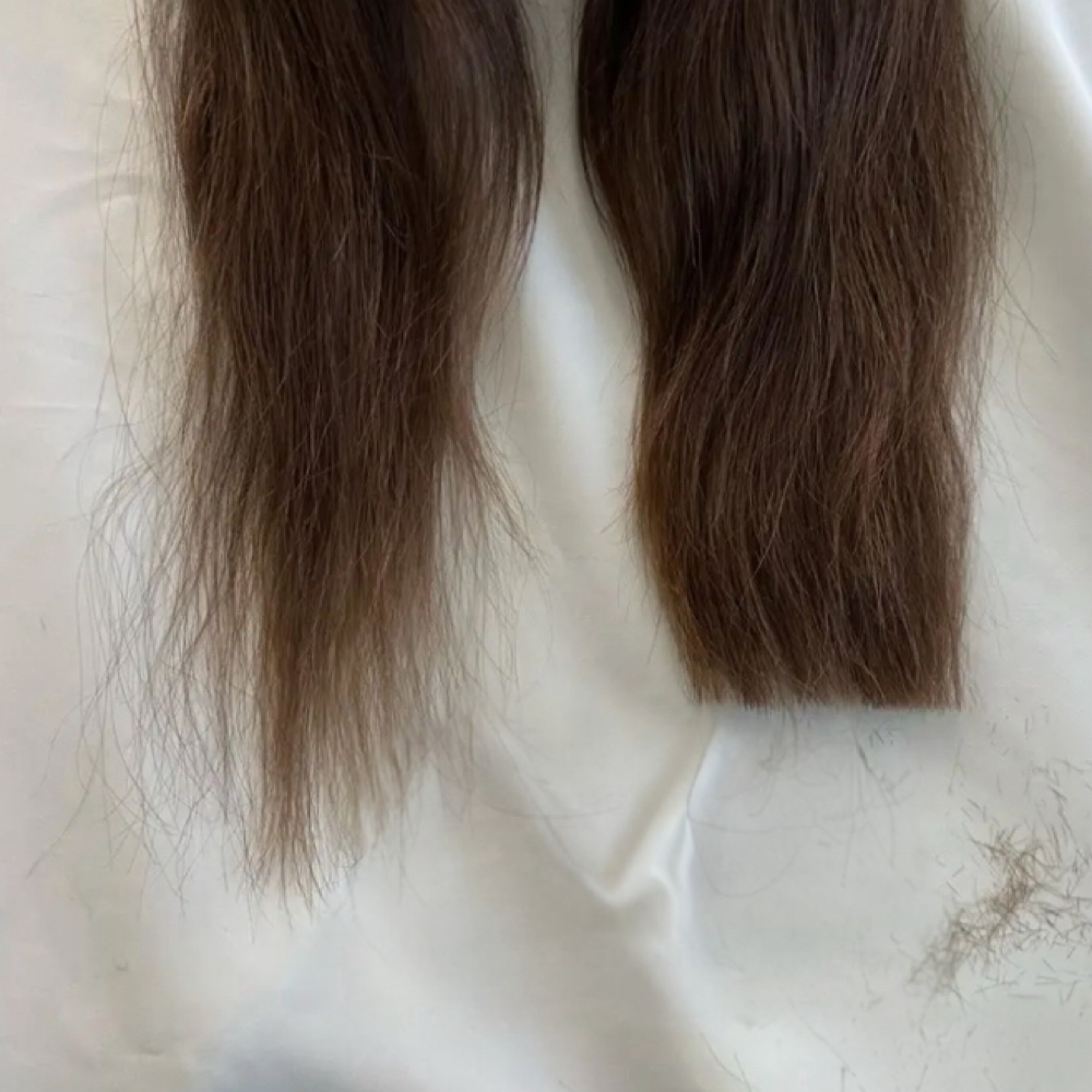 Women’s Haircut at Halo Salon in Grand Island, NE
