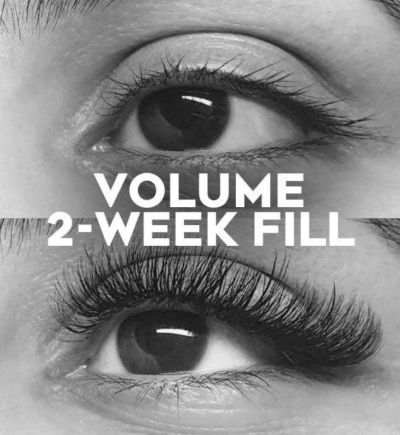 Volume Lash Fill