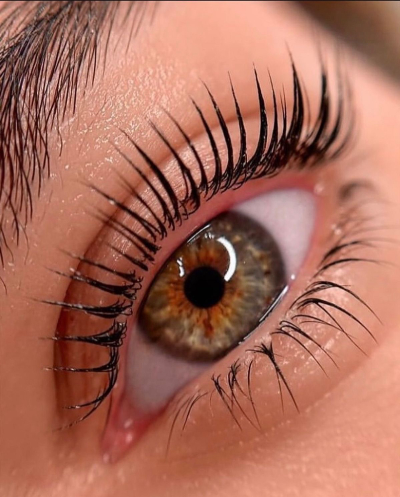 Eyelash Lift + Tint at Skin Theory-Katie in Perry, FL