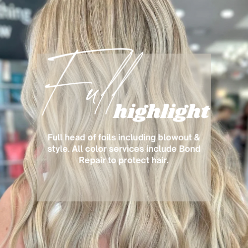 Full Highlight