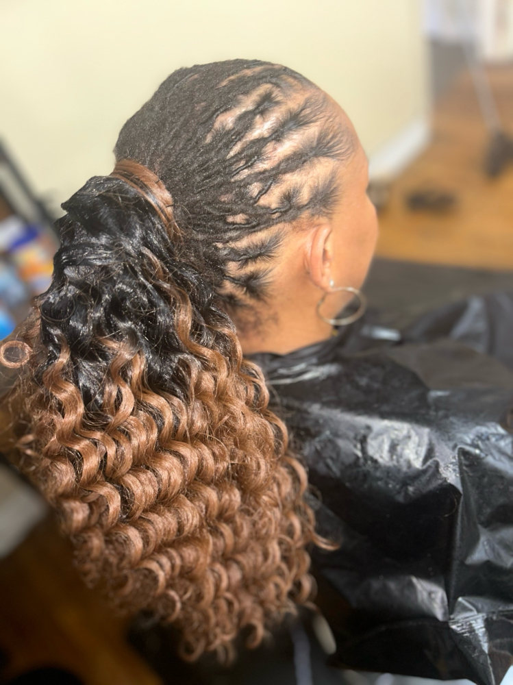 Loc Retwist Wit Ponytail