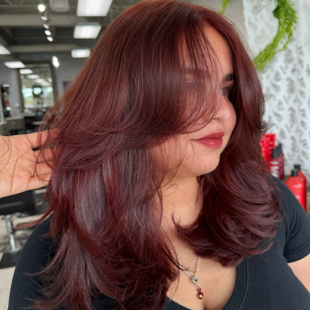 ✂️ Snip & Style (Regular Haircut) at Shannel Tresses in Seffner, FL