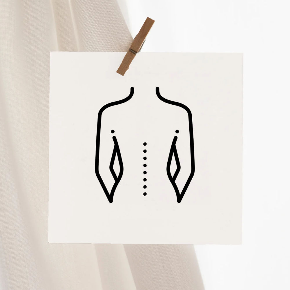 Back (Full)
