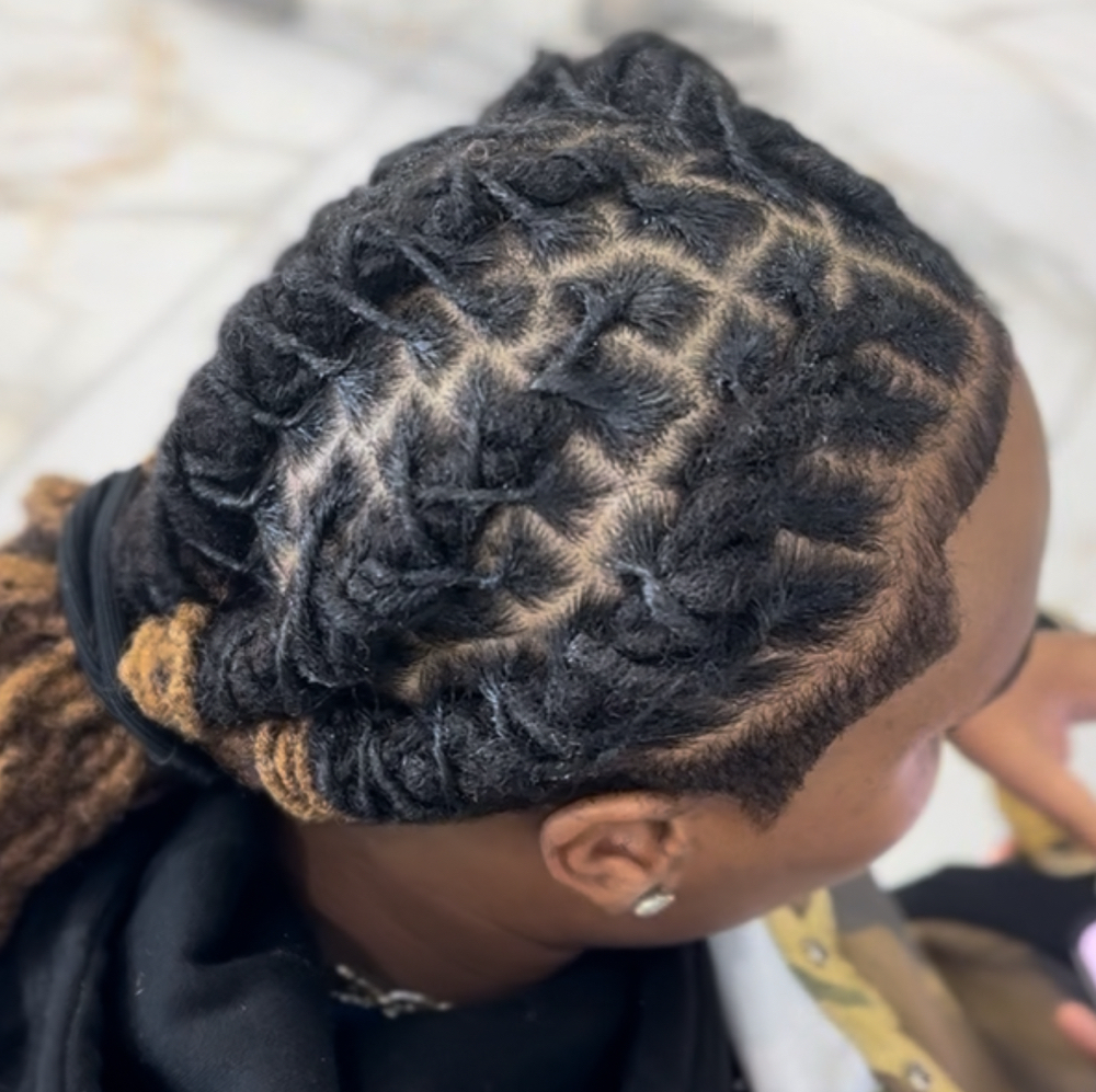 Retwist & Style