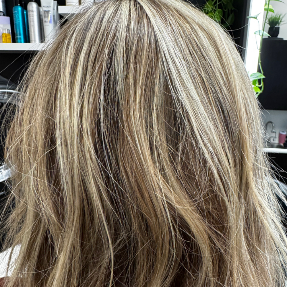 Hair Color Consultation at Beachy Blondes By Ashley Rose in Jacksonville, FL