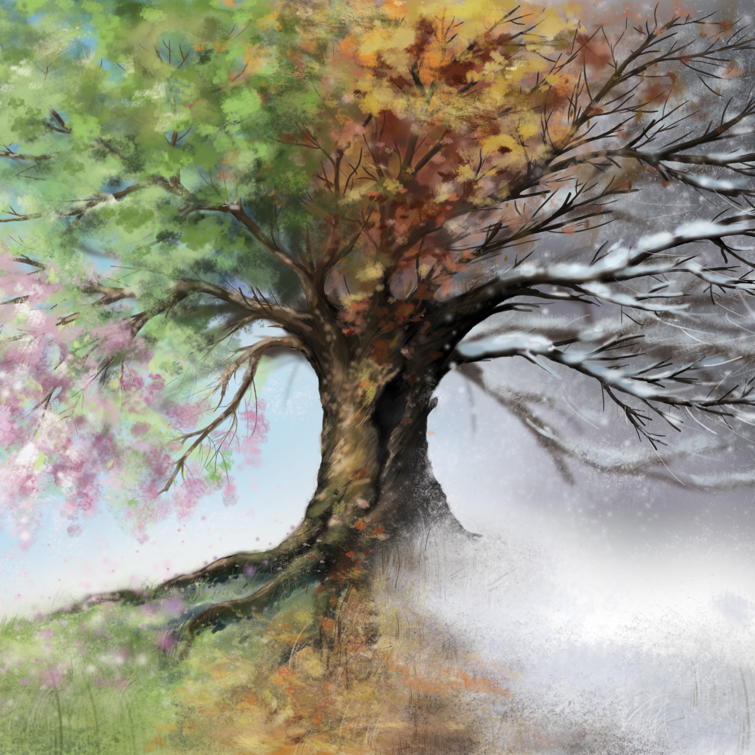 75 Min-Coupon Applied (Present) at Hamilton Med-Aesthetics in Richland, WA