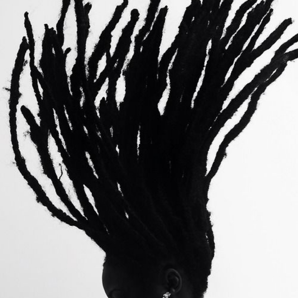 Locs at SEVHN CORPORATION in Chicago, IL