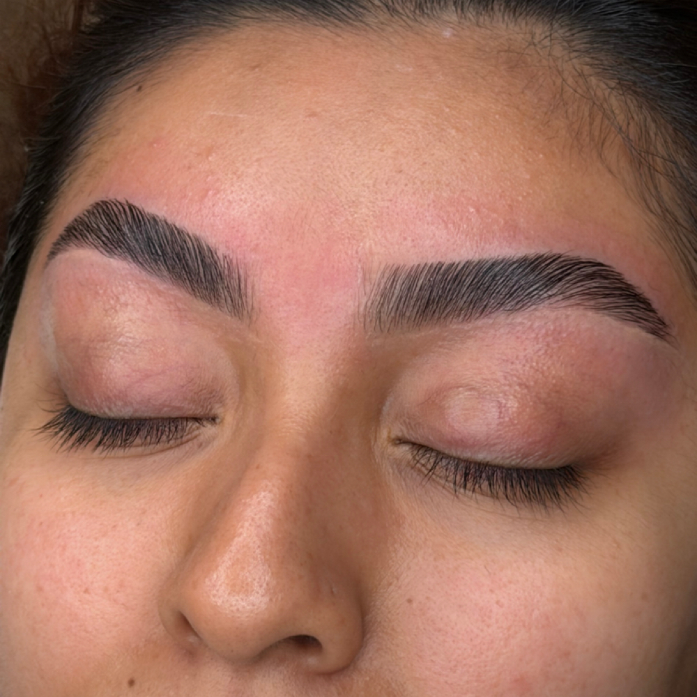 ORLANDO - BROW WAX + LAMINATION at SHAPE THEORY in Bronx, NY