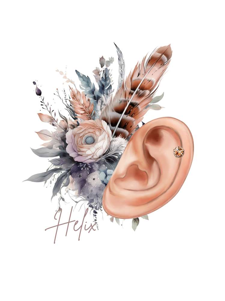 Helix Piercing (Cartilage)