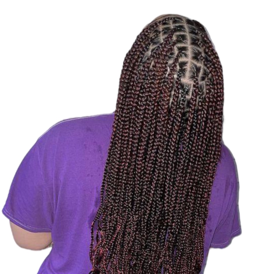 Small Knotless Box Braids