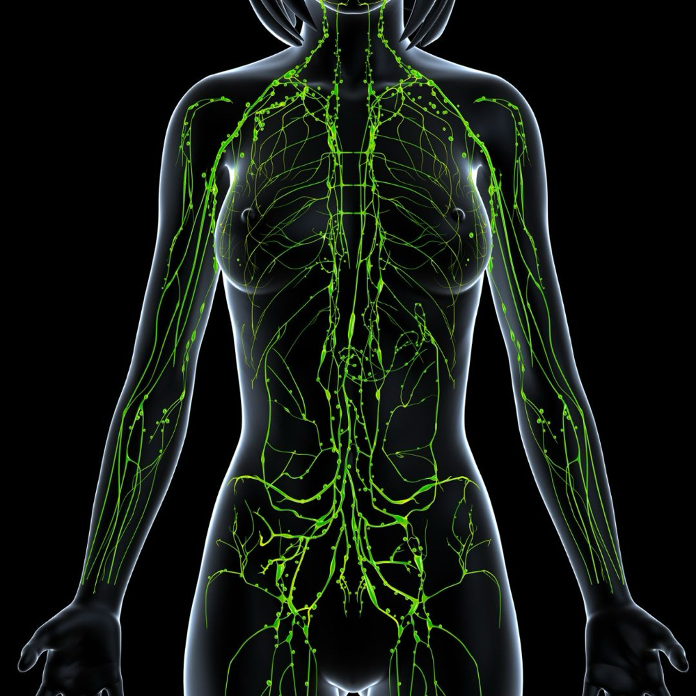 Post-Op Lympatic