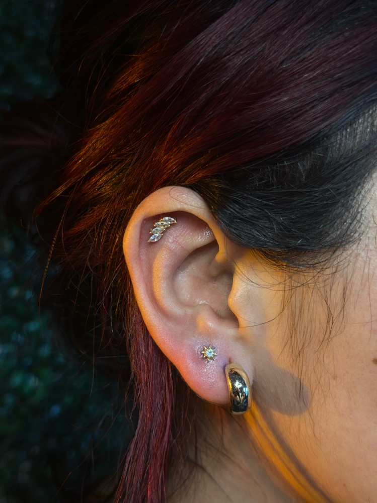 Ear Piercings