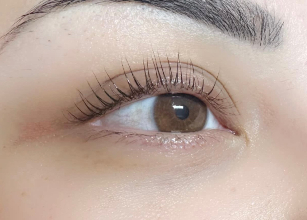 Lash Lifts/w Tint at ✨Lashed Out By V✨ in Midland, TX