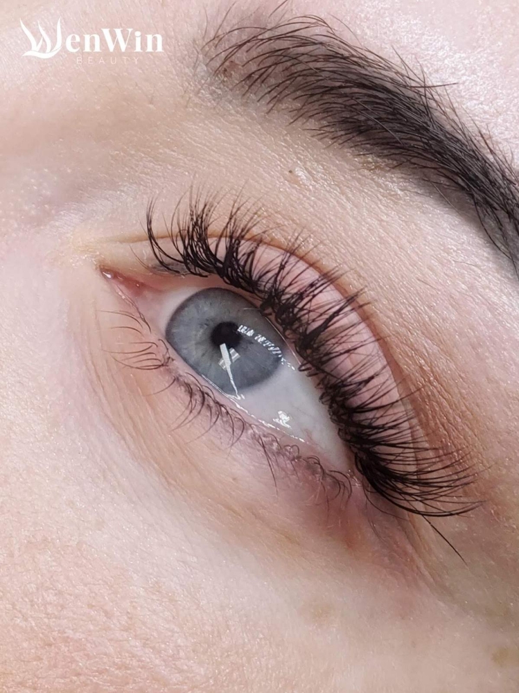 Classic Eyelashes