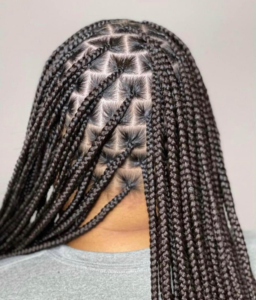 KnotlessBoxBraids (WaistLength/Long
