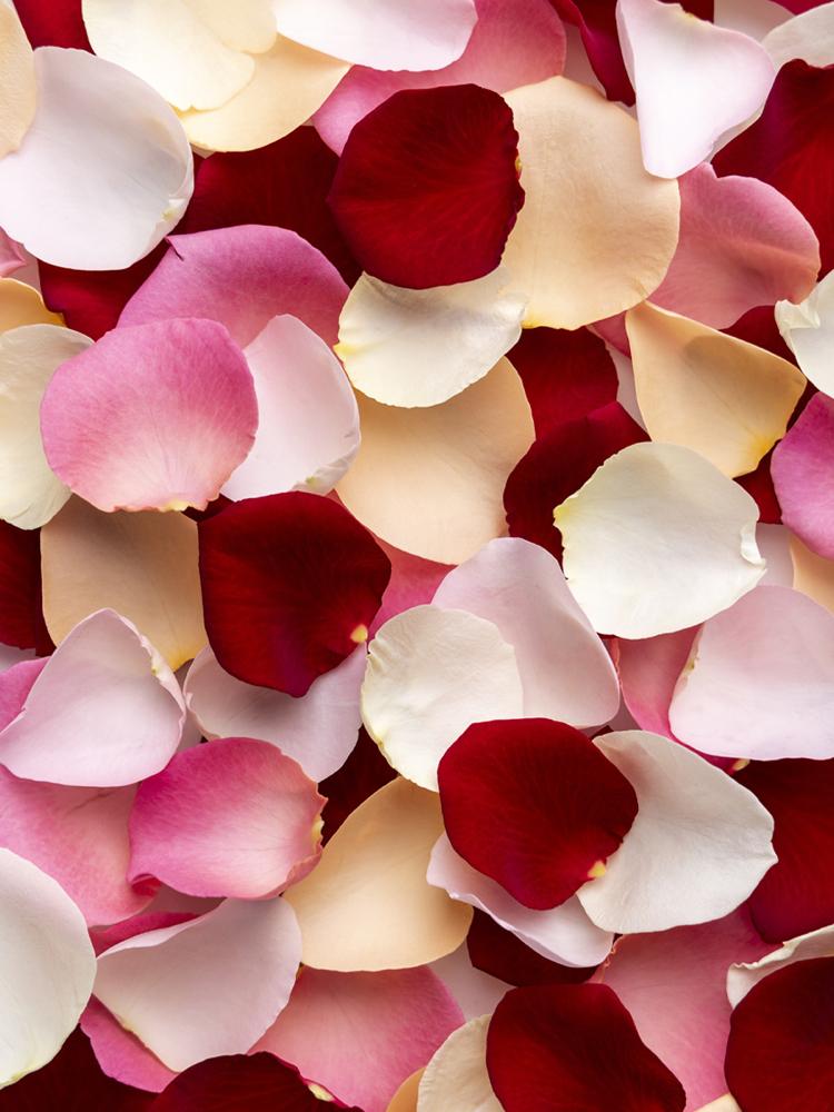 🌹 THE ROSE PEDI